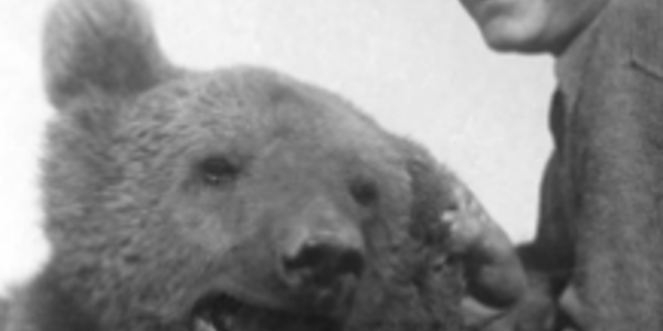 niedźwiedź z żołnierzem.PNG