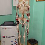kościotrup - manekin.jpg