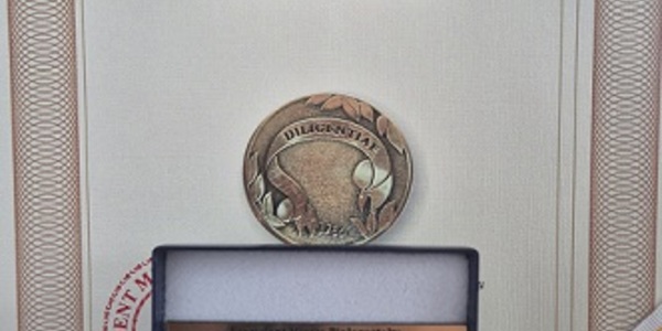 Dyplom i medal