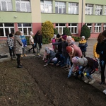 Uczniowie sadzący cebulki krokusów przed budynkiem szkoły.