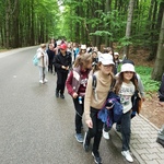 Spacerujący uczniowie w lesie.