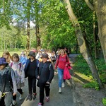 Spacerujący uczniowie w lesie.