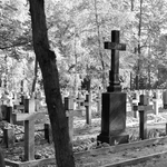 Krzyże na cmentarzu