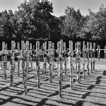Krzyże na cmentarzu