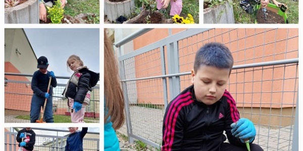 Uczniowie sadzą kwiatki na terenie szkoły.
