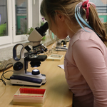 Dziewczynka patrzy przez mikroskop..jpg