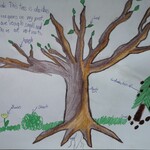 rysunek drzewa z angielskimi opisami.jpg