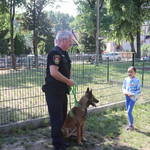 Dziewczynka patrzy na strażnika miejskiego z psem.