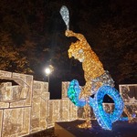 Świetlna iluminacja w parku.jpg