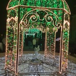 Zielona iluminacja.jpg